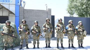 Десять дней армейской жизни