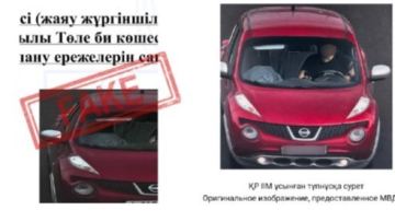 Фейк на миллион просмотров: в Алматы опровергли историю о штрафе за пакет