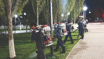 Ночная смена