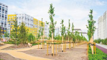 Парки, скверы, бульвары