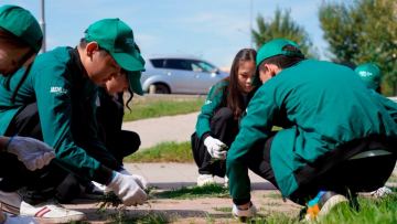 День экологии: столичные активисты очистили парк от мусора