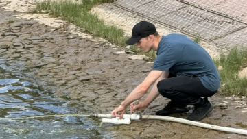 Есиль спасают от необычайно интенсивного цветения воды в 2026 году
