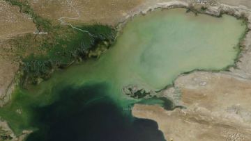 День Каспийского моря: Казахстан усиливает меры по сохранению уникальной экосистемы