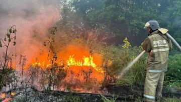 17 природных пожаров ликвидировало МЧС РК за сутки
