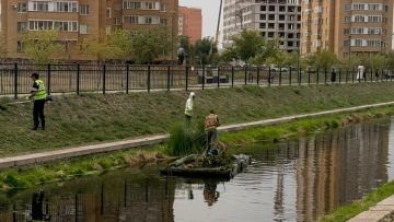 В Астане ведутся работы по очистке реки Сарыбулак