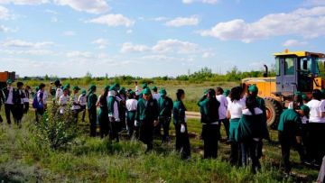Более ста бойцов «Жасыл ел» вышли на акцию чистоты в Астане