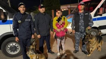 В Астане успешно завершились поиски 8-летней девочки