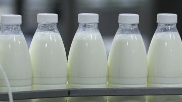 В Казахстане увеличилось производство обработанного молока
