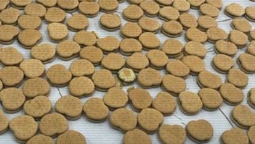 Наркотики в печенье: в Астане накрыли интернет магазин