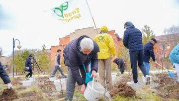 Столицу украсили новые саженцы