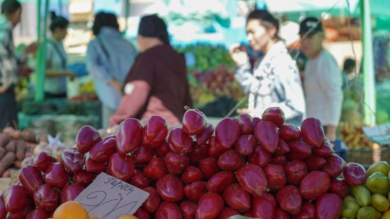 Аграрии Абайской и Кызылординской областей представят свою продукцию на ярмарке в столице