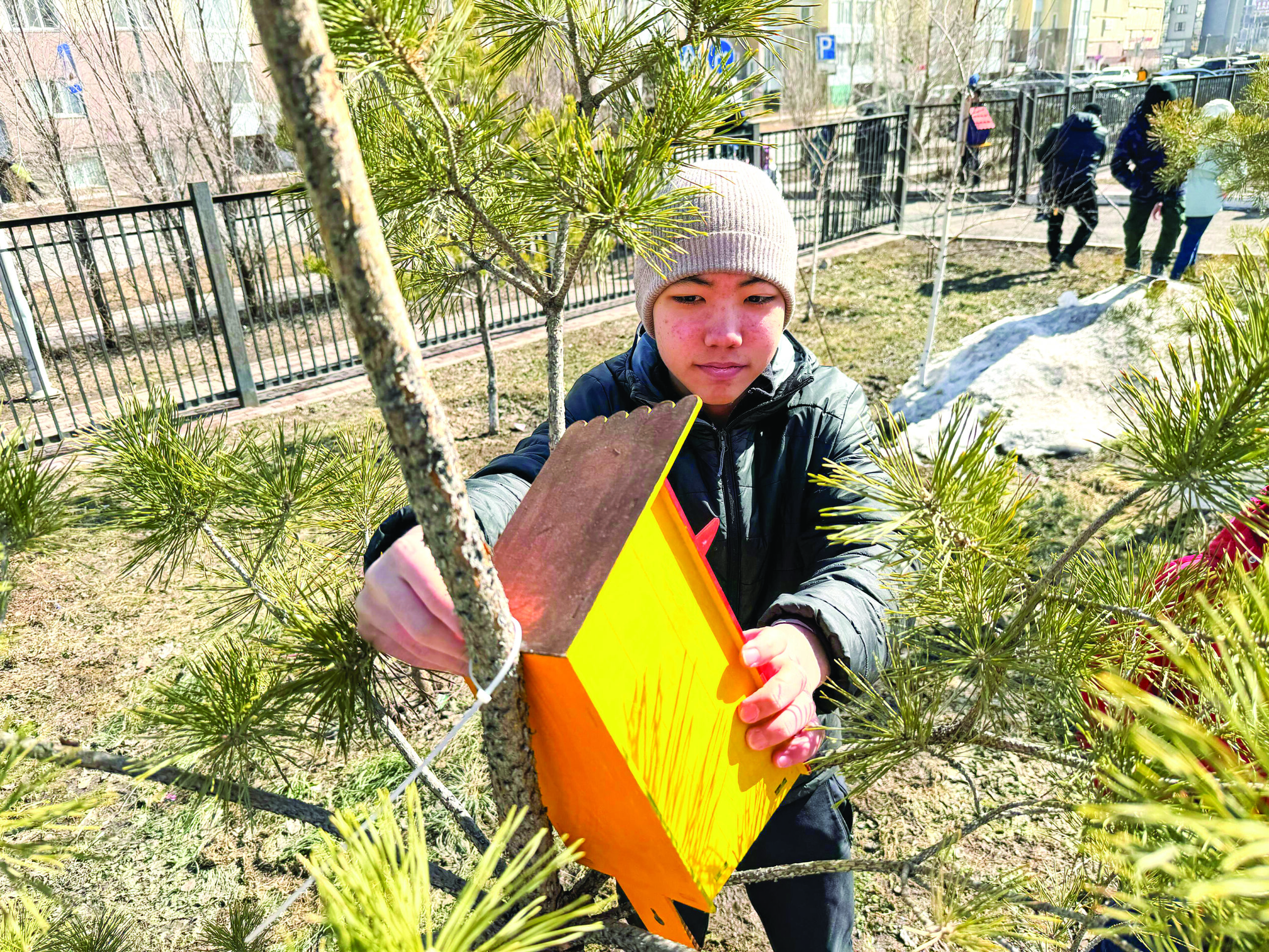 Дом для птиц под окнами школы