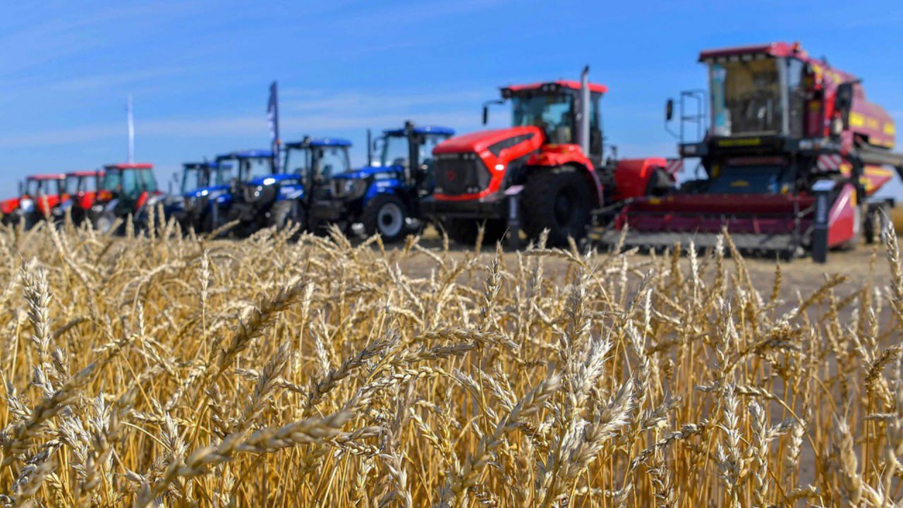 Валовый выпуск продукции сельского хозяйства увеличился на 6,1%