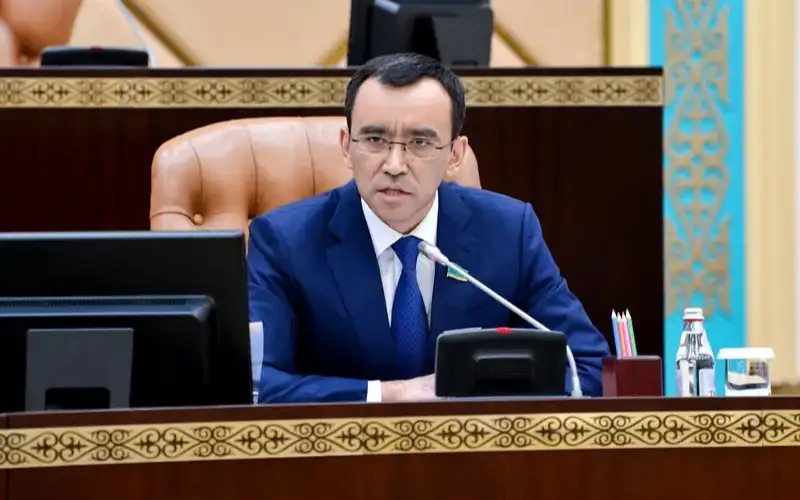 Маулен Ашимбаев: Реализация конституционных реформ — общая ответственность государства и общества