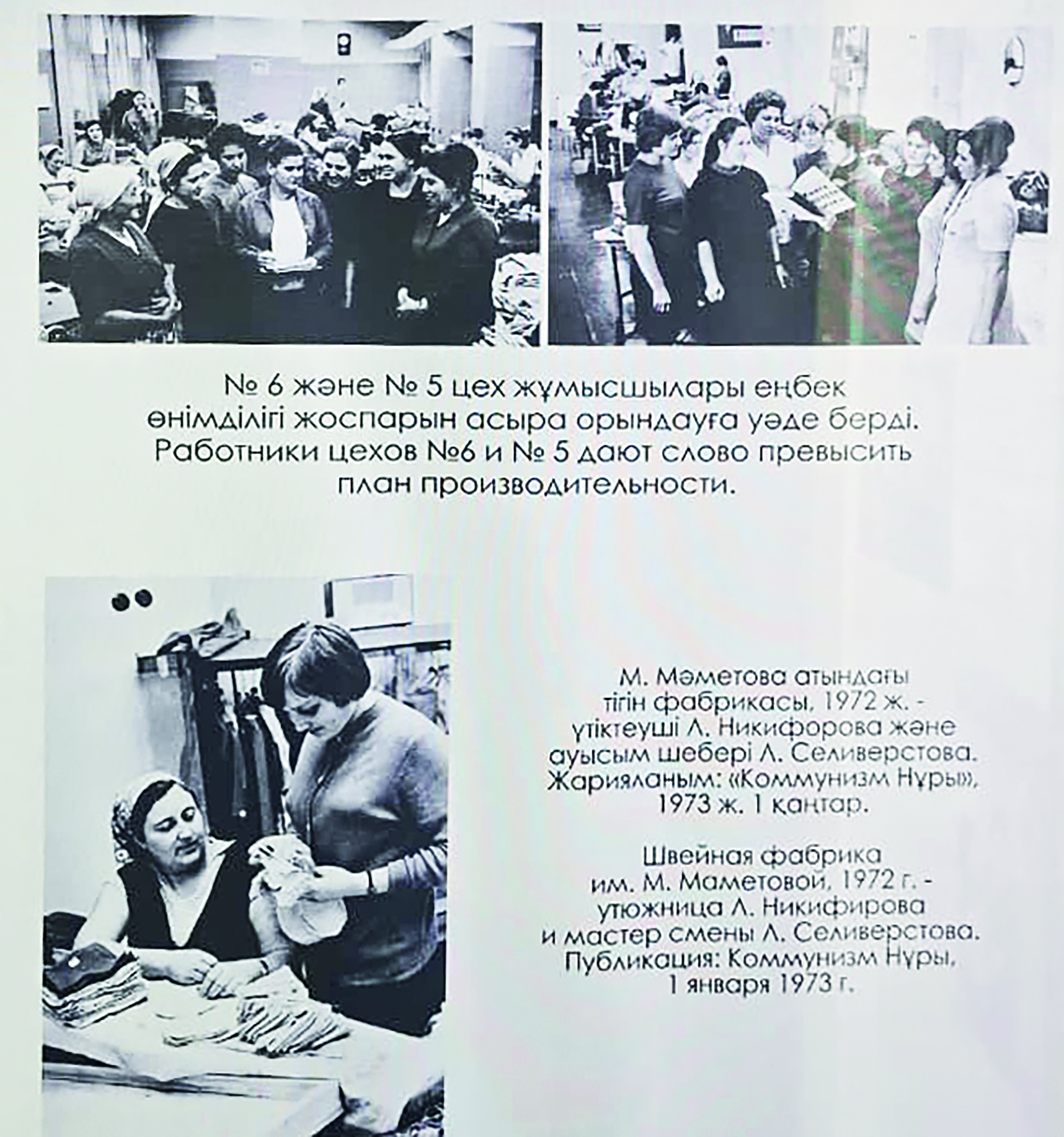 История в кадре