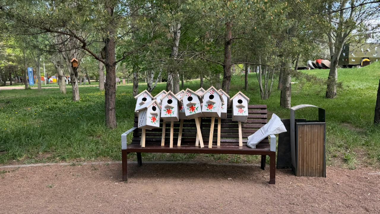 «Таза Казахстан»: в парке «Жетысу» установили скворечники для птиц