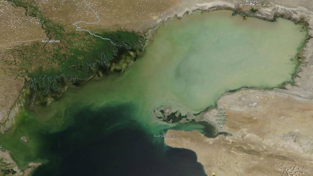 День Каспийского моря: Казахстан усиливает меры по сохранению уникальной экосистемы