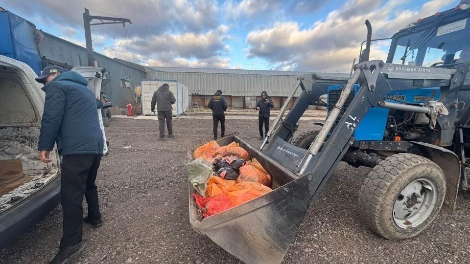 В Астане закрыли подпольный мясной цех: обнаружено 360 кг мяса